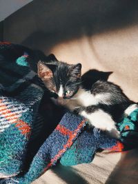 Close-up of cat lying on bed at home