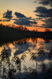 Scenic view of lake at sunset