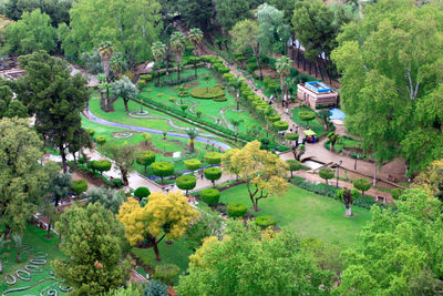 High angle view of trees and plants in park