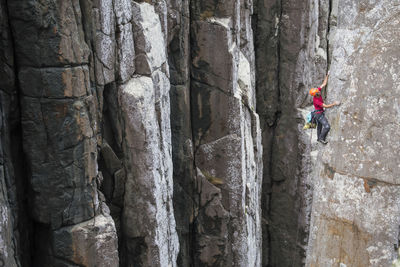 Male climber wearing a red shirt makes his way up the edge of a dolerite rock column in the totem pole, cape hauy, tasman national park, tasmania, australia.