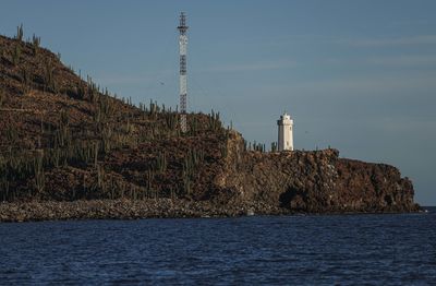 Bird Island