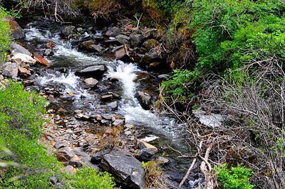 Stream flowing through rocks in forest