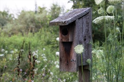 Close-up of a rustic birdhouse with flowers