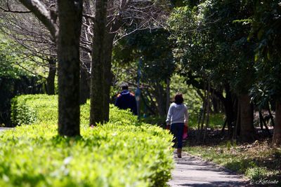 Rear view of people walking on footpath in chiba port park