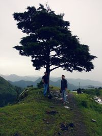 Man standing on tree against mountain