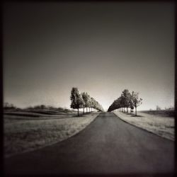 the way forward