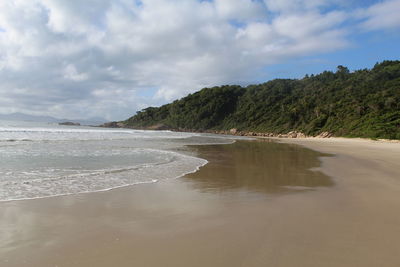 Scenic view of beach against sky