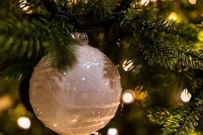 Close-up of christmas decorations