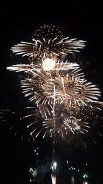 Low angle view of firework display at night