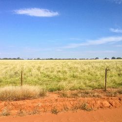 Scenic view of field against cloudy sky