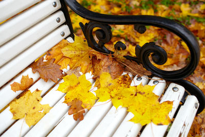 High angle view of fallen autumn leaves on bench