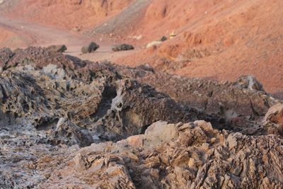 Scenic view of desert land