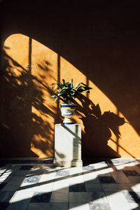 Potted plants against wall