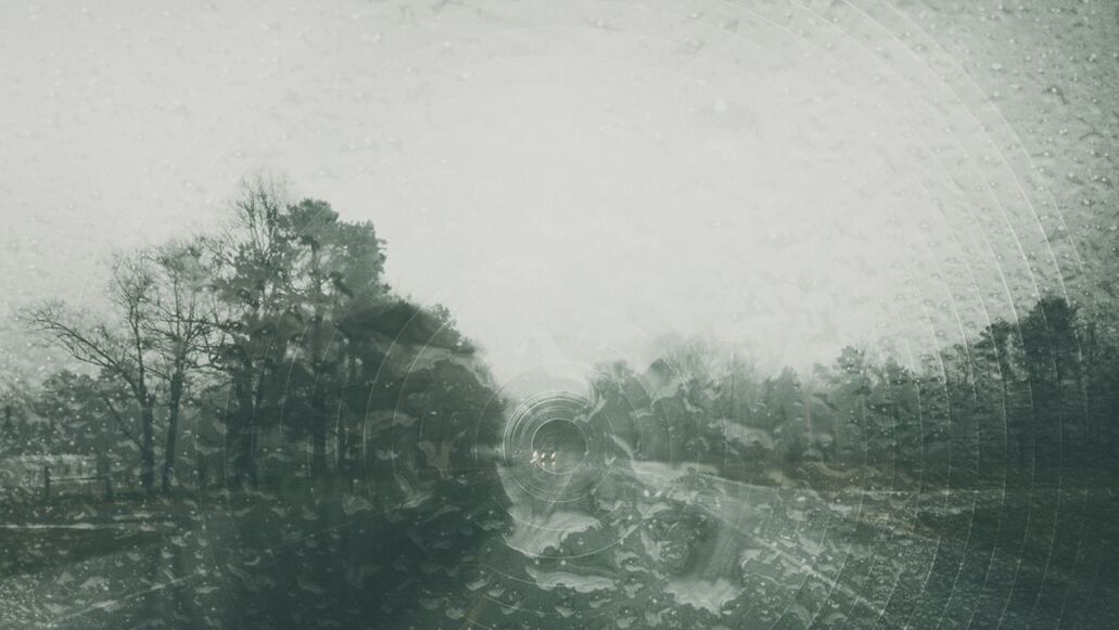 water, wet, tree, rain, weather, drop, transparent, glass - material, season, window, reflection, nature, day, sky, tranquility, no people, raindrop, outdoors, beauty in nature, fog