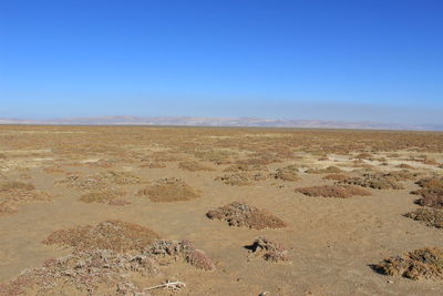 Scenic view of desert against clear blue sky