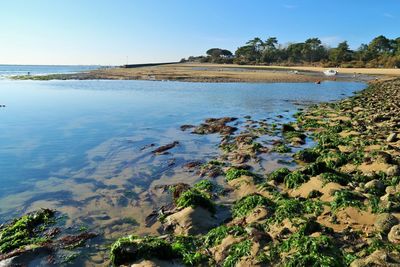 Scenic view of beach against sky