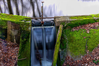 Plants growing by wall with small waterfall