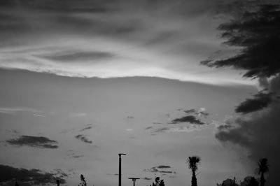 Trees against sky