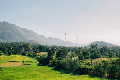 Scenic view of field against clear sky