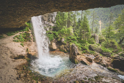 Scenic view of waterfall in forest