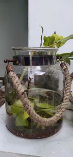 Close-up of food in glass container on table