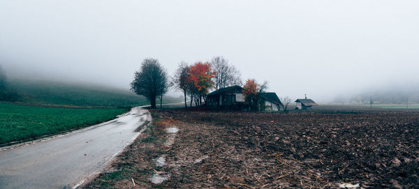 Wet trees in rain against sky