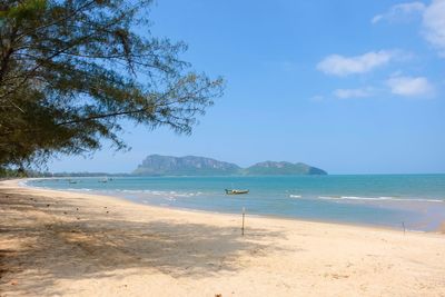 Scenic view of beach against blue sky