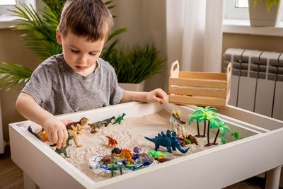 Boy playing with toys