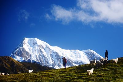 Himalayan life
