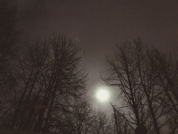 Low angle view of bare trees against sky