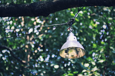 Low angle view of decoration hanging on tree