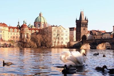 View of buildings at the waterfront