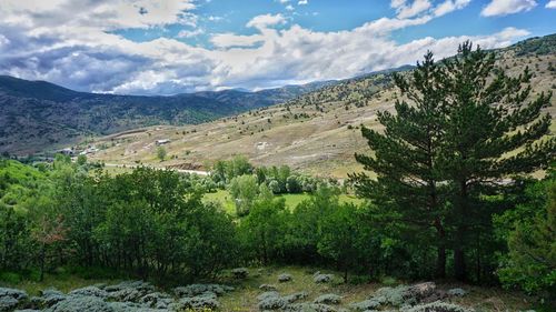 Scenic view of landscape against sky