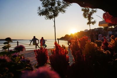 People on flowering plants against sky during sunset