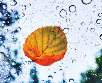 Close-up of raindrops on window against sky