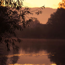 Silhouette tree by lake against sky during sunset