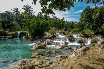 Scenic view of waterfall in forest against sky