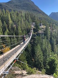 High angle view of bridge in forest