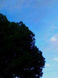 Low angle view of silhouette trees against blue sky