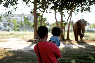 Rear view of father and son looking at elephant