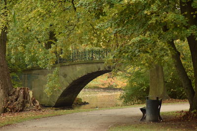 Arch bridge in park