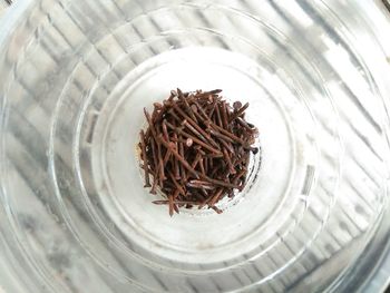 High angle view of noodles in bowl