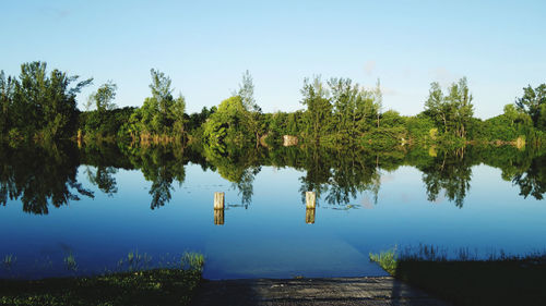 Panoramic view of trees on lake against sky