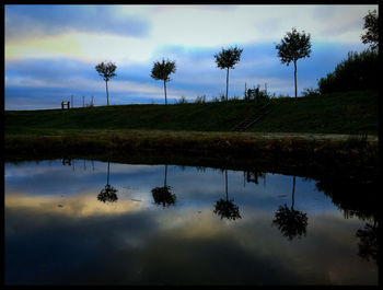 Reflection of trees in calm lake