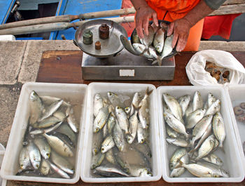 Local fisherman selling raw fresh fish near the sea on bari promenade