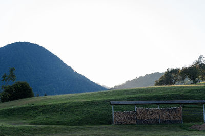 Scenic view of field against clear sky