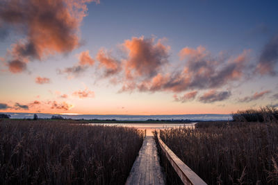 Scenic view of field against sky during sunset