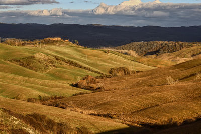 Scenic view of agricultural field against sky