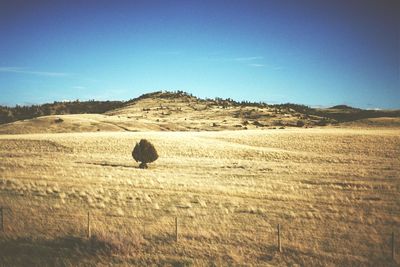 Scenic view of landscape against clear sky