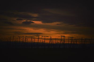 Scenic view of field against sky at sunset